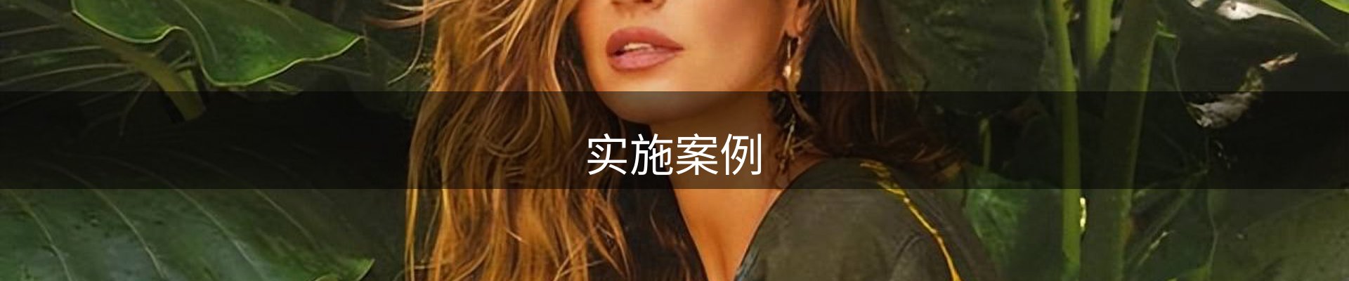 实施案例